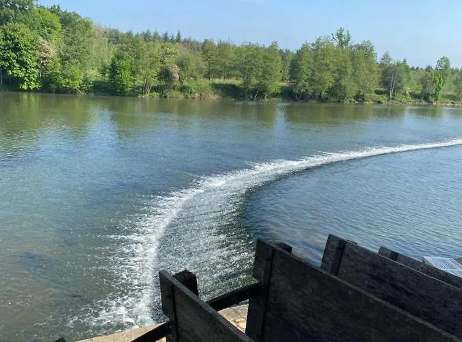 Pensionat Moulin D'ignieres *